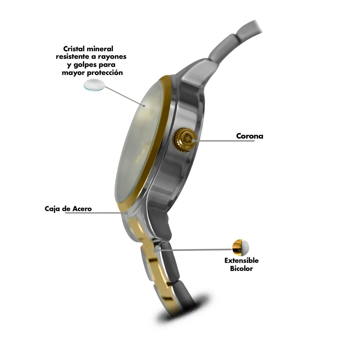 Reloj Executive 120 Dama - Reloj Nivada Swiss