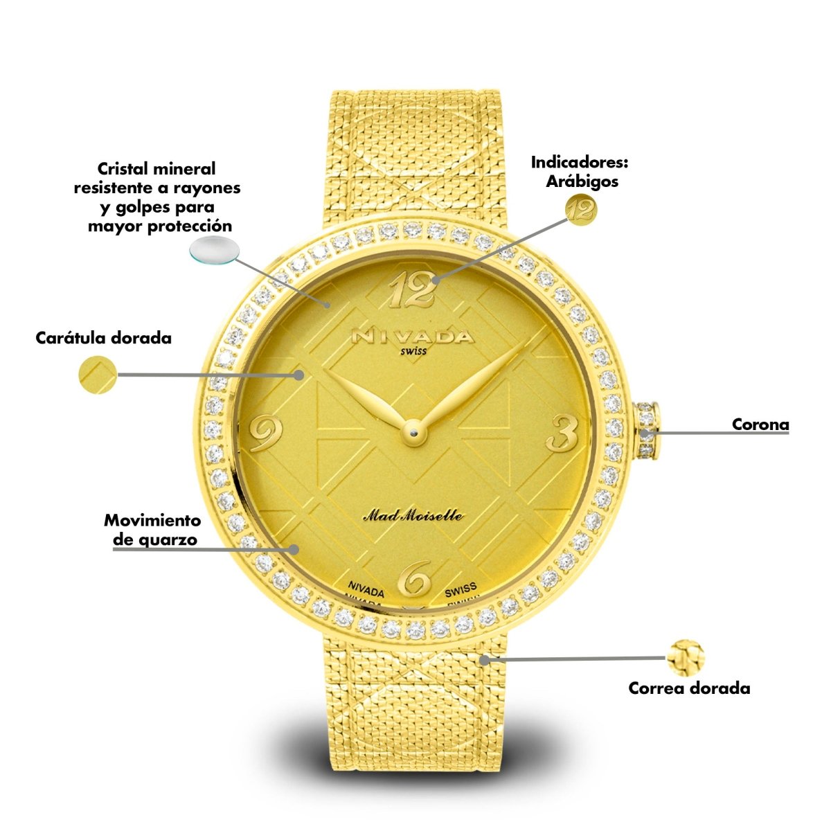 Reloj Fashion 102 Dama - Reloj Nivada Swiss