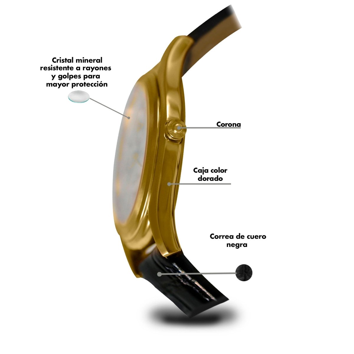 Reloj Millionaire 101 Dama - Reloj Nivada Swiss