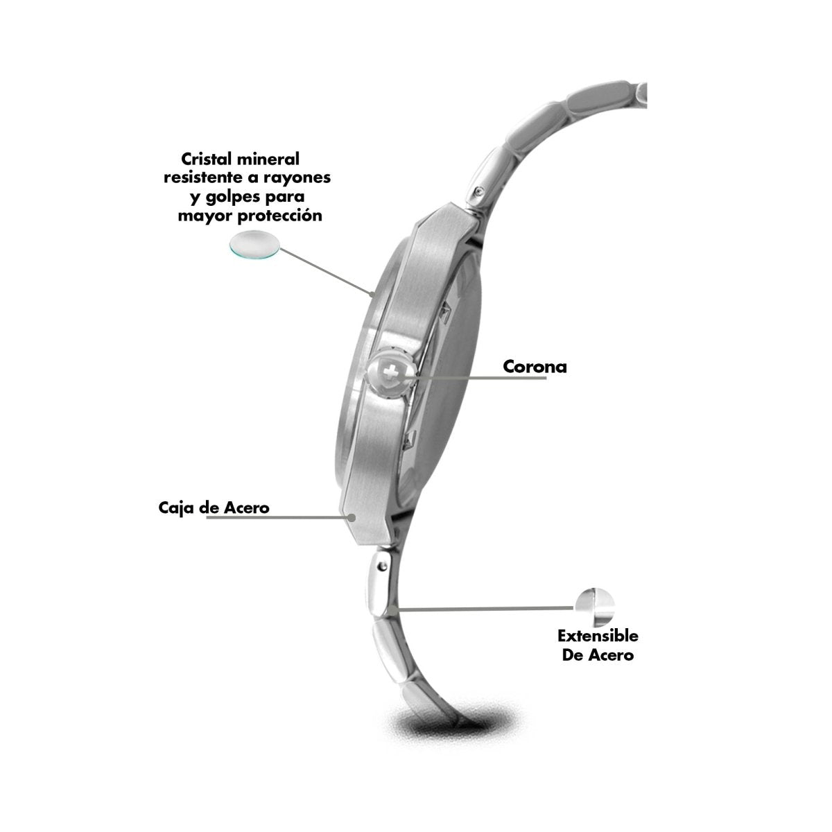Reloj Executive 105 Dama - Reloj Nivada Swiss