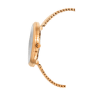 Reloj Executive 111 Caballero - Reloj Nivada Swiss