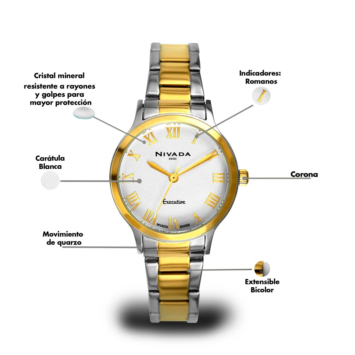 Reloj Executive 120 Dama - Reloj Nivada Swiss