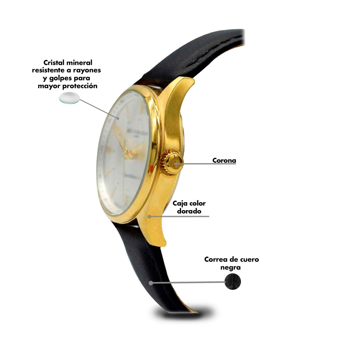 Reloj Executive 122 Dama - Reloj Nivada Swiss