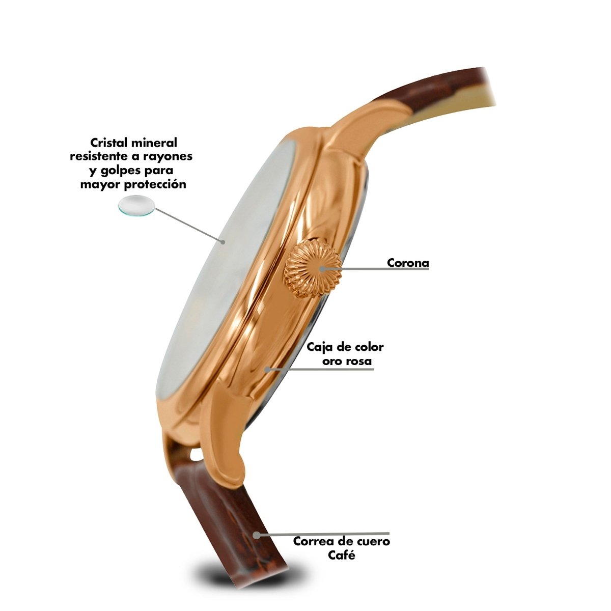 Reloj Executive 145 Dama - Reloj Nivada Swiss