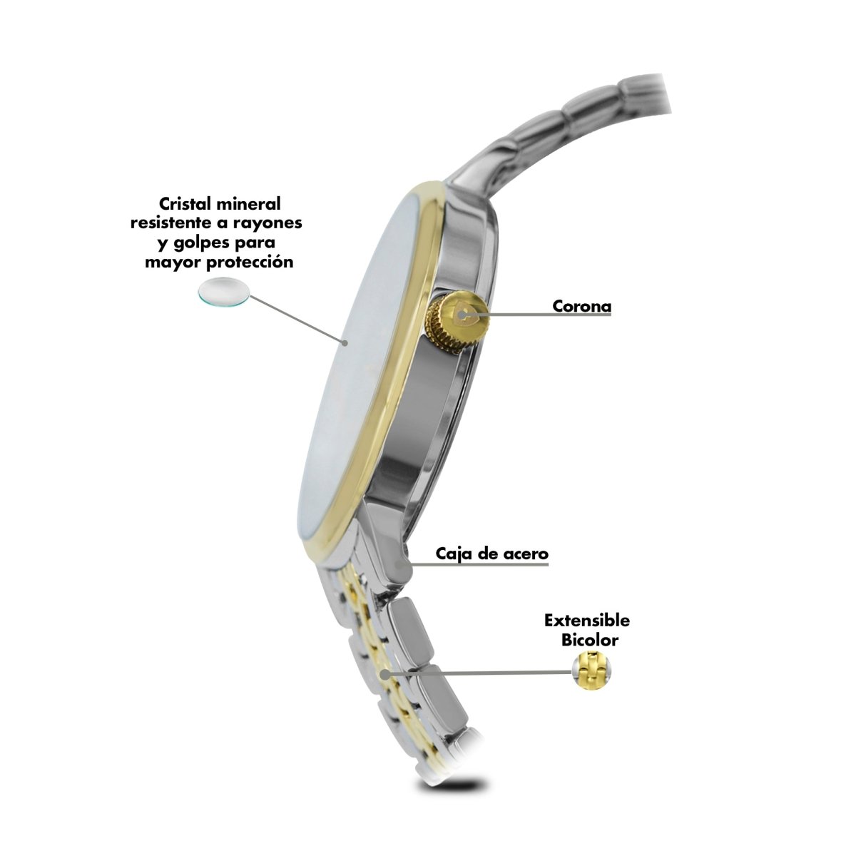Reloj Executive 155 Caballero - Reloj Nivada Swiss