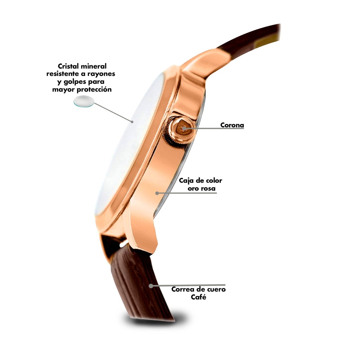 Reloj Executive 207 Dama - Reloj Nivada Swiss