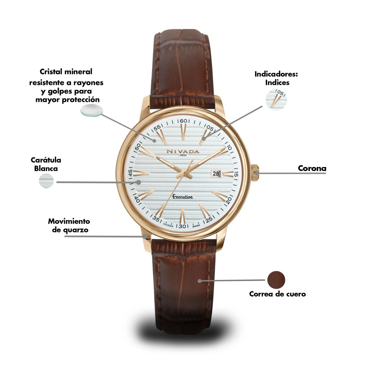 Reloj Executive 221 Dama - Reloj Nivada Swiss