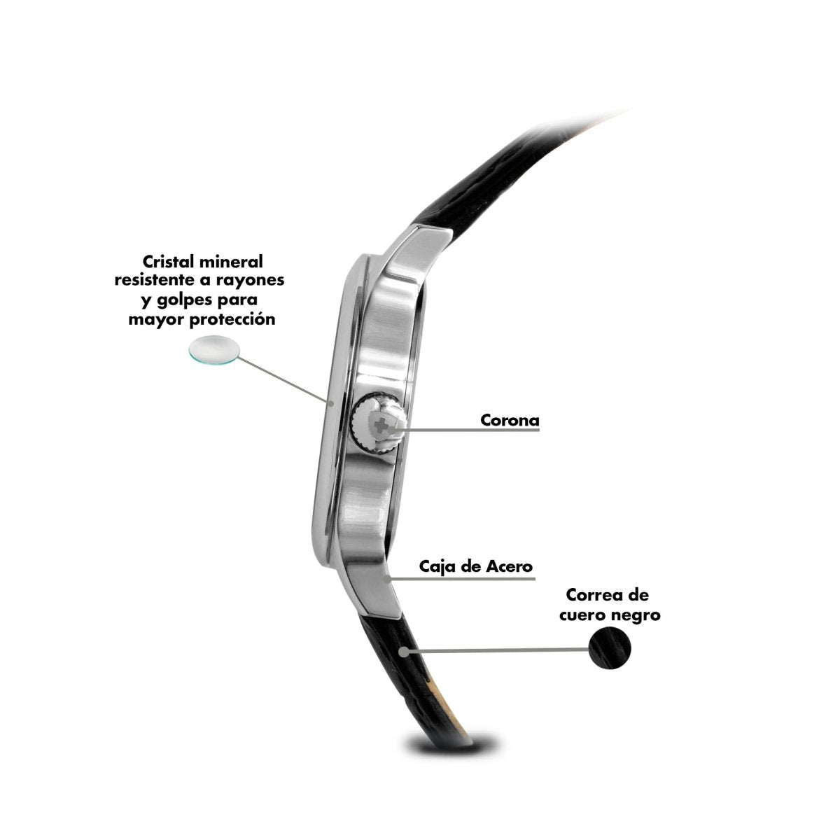 Reloj Executive 264 Dama - Reloj Nivada Swiss