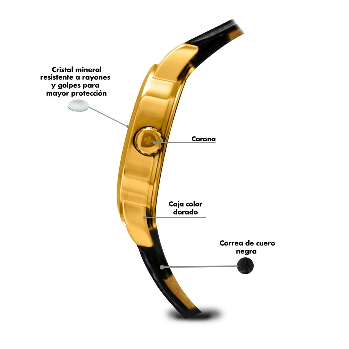 Reloj Fashion 152 Caballero - Reloj Nivada Swiss