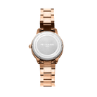 Reloj Millionaire 162 Caballero - Reloj Nivada Swiss